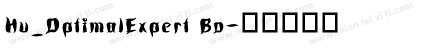 Hu_OptimalExpert Bo字体转换
